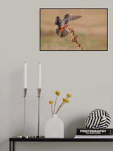 Prepare 2 Land Poster och Canvastavla