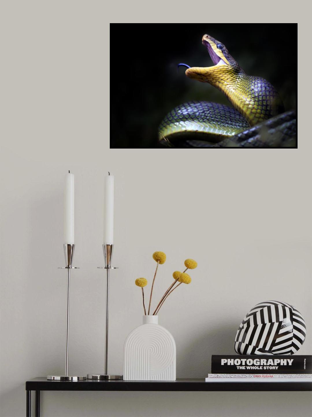Gonyosoma oxycephala - Javanese Green Snake Poster och Canvastavla