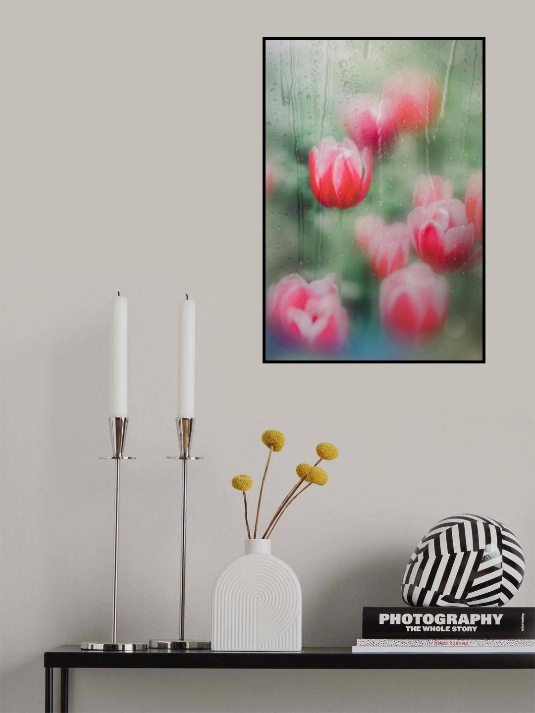 tulips, the grace Poster och Canvastavla