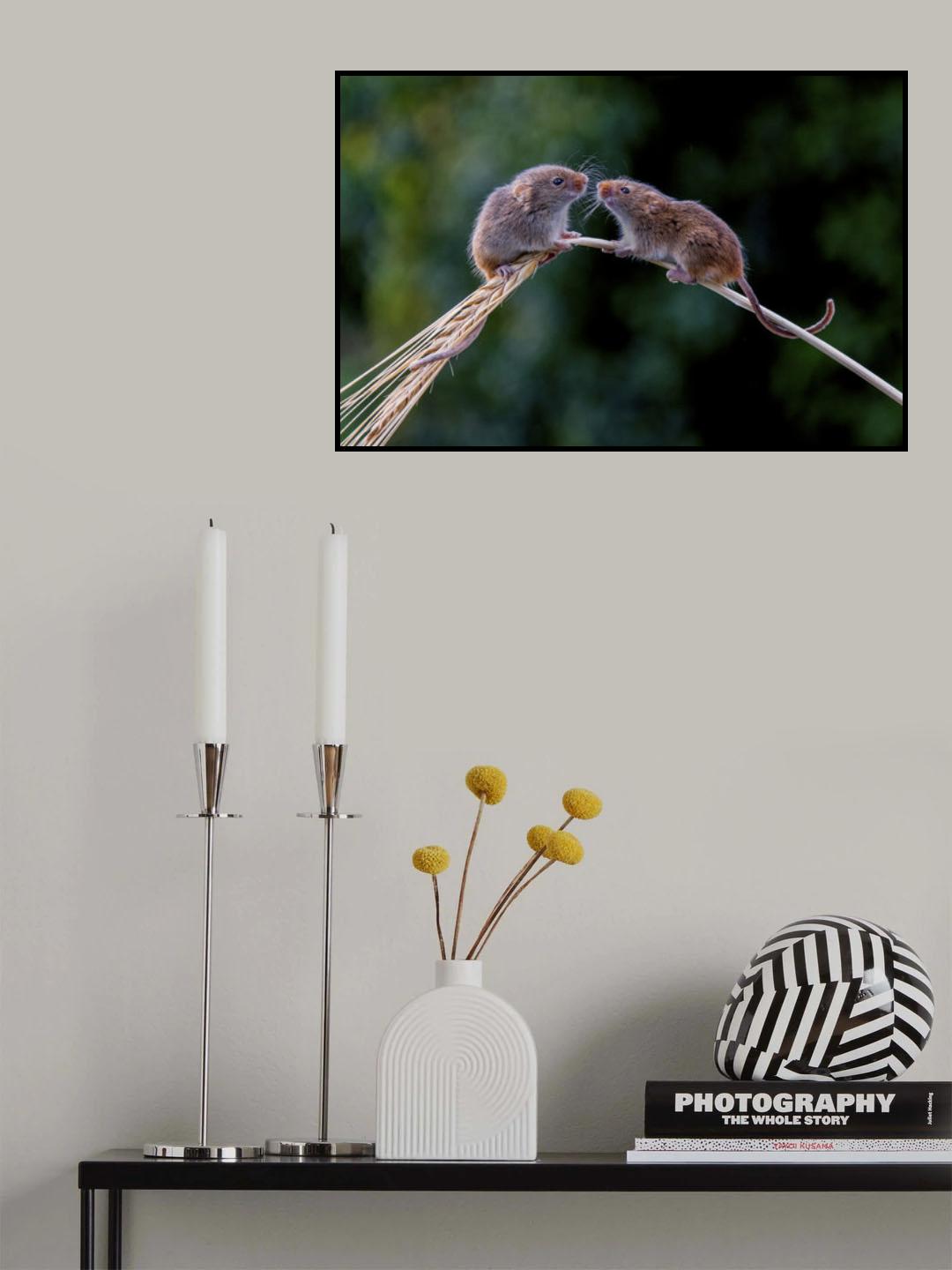 Harvest Mice Say Hello Poster och Canvastavla