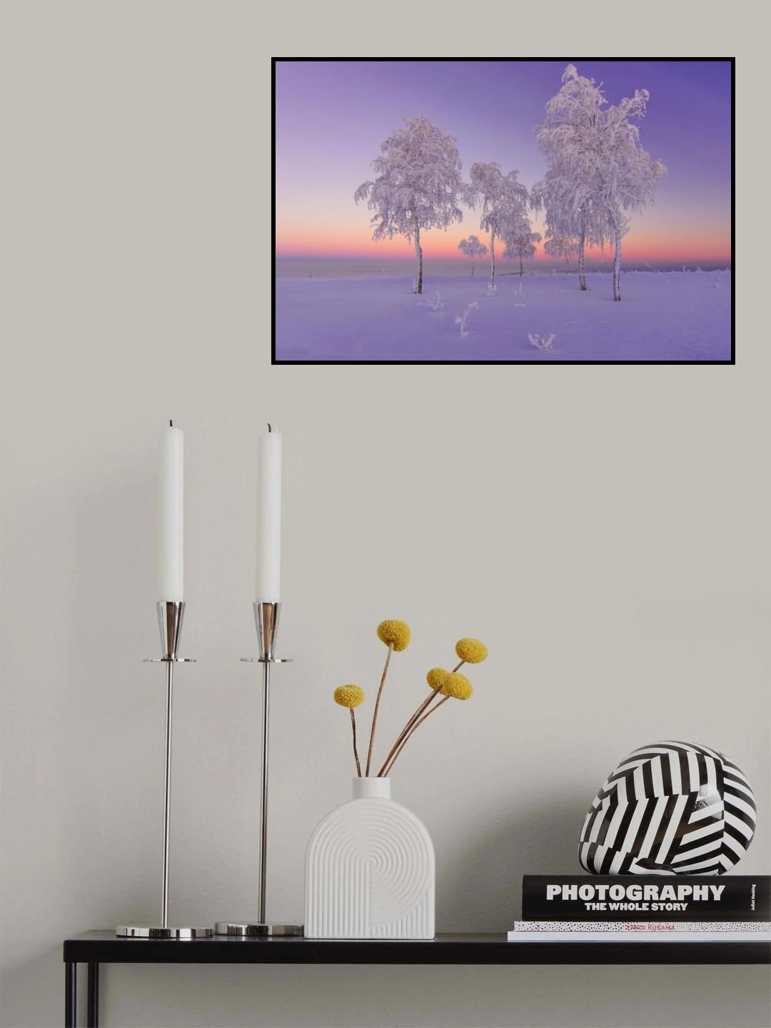 January evening Poster och Canvastavla