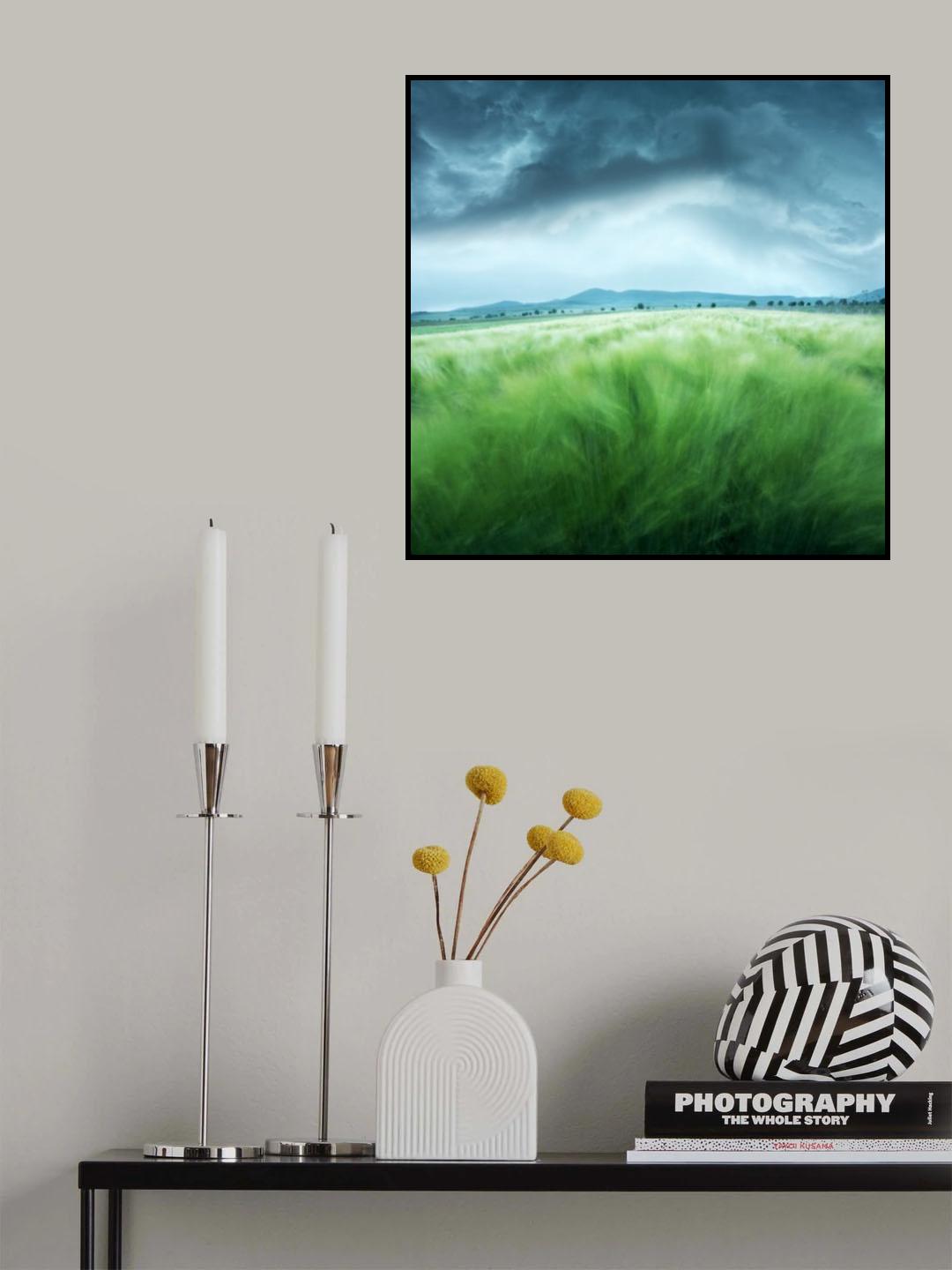 Barley Field Poster och Canvastavla