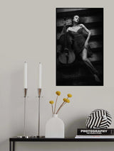 The Cellist Poster och Canvastavla