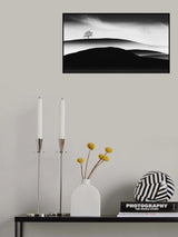 Where have all the flowers gone? Poster och Canvastavla