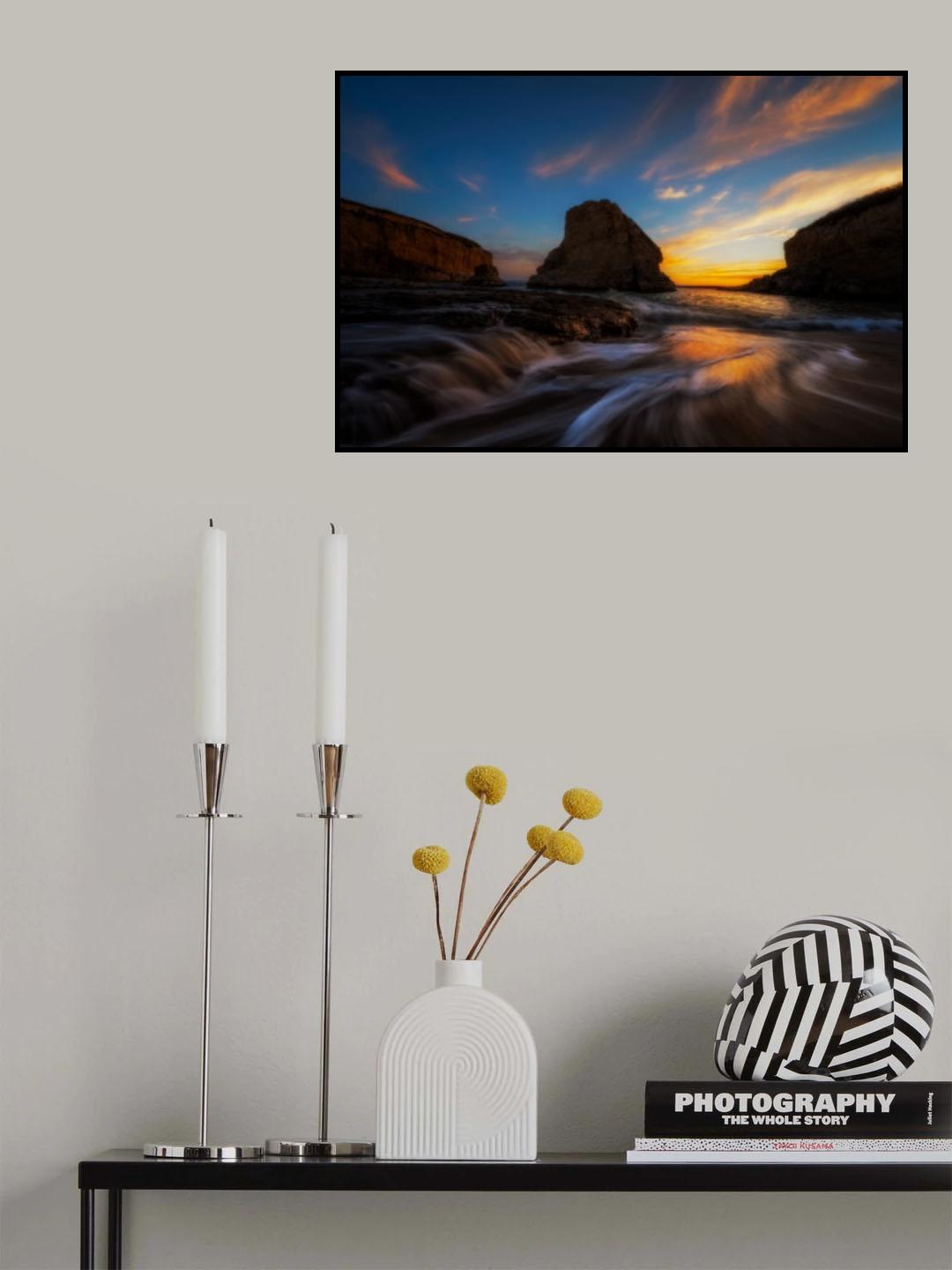 Flying Fins Poster och Canvastavla