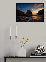 Flying Fins Poster och Canvastavla