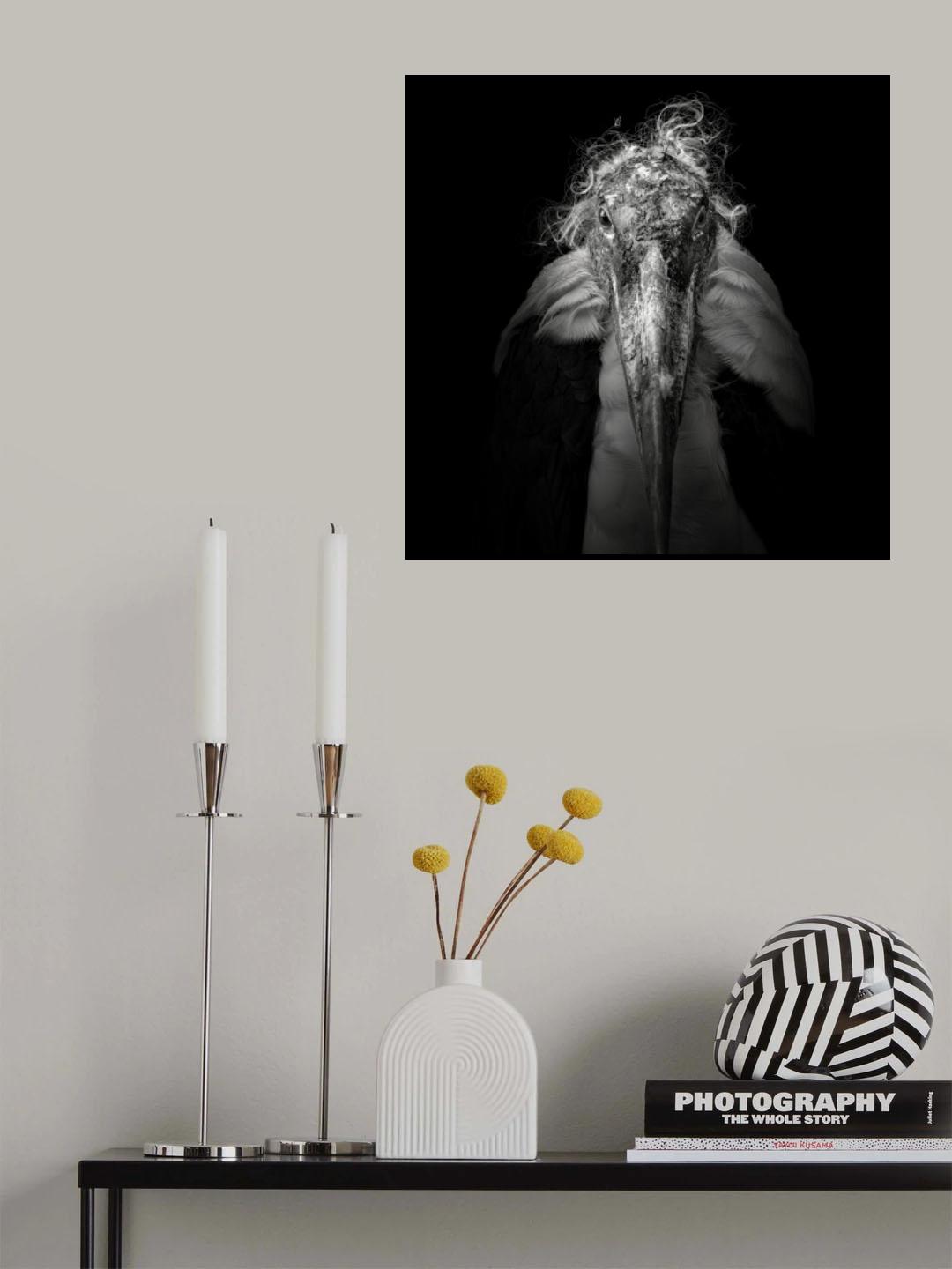 Marabou #9 Poster och Canvastavla