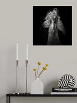 Marabou #9 Poster och Canvastavla