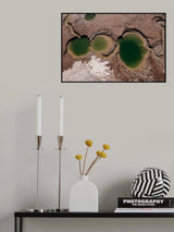 Poster och Canvastavla
