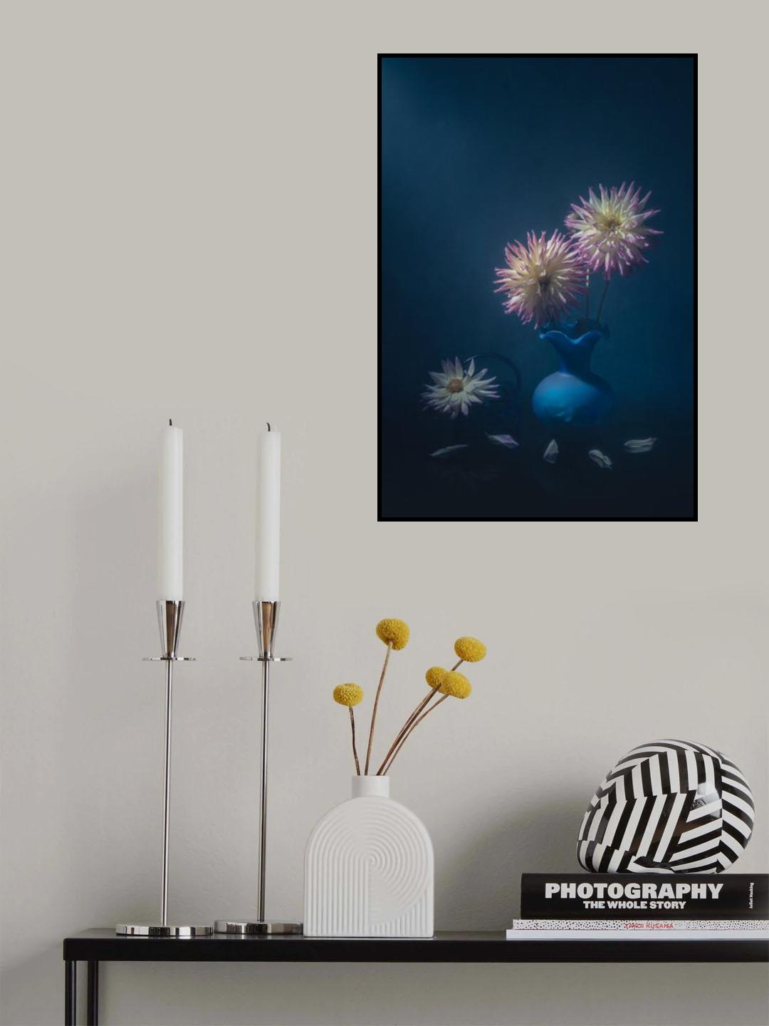 Pretty Dahlias Poster och Canvastavla