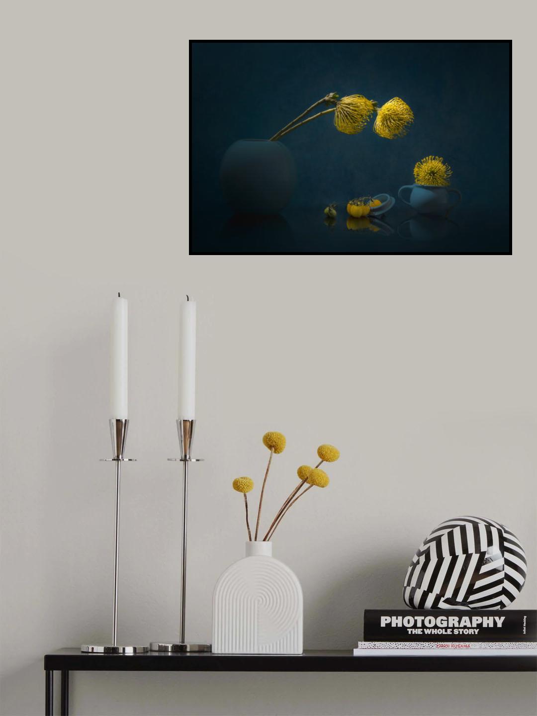 Yellow Leucospermum Poster och Canvastavla