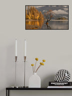 Autumn in Wanaka Poster och Canvastavla