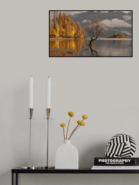 Autumn in Wanaka Poster och Canvastavla