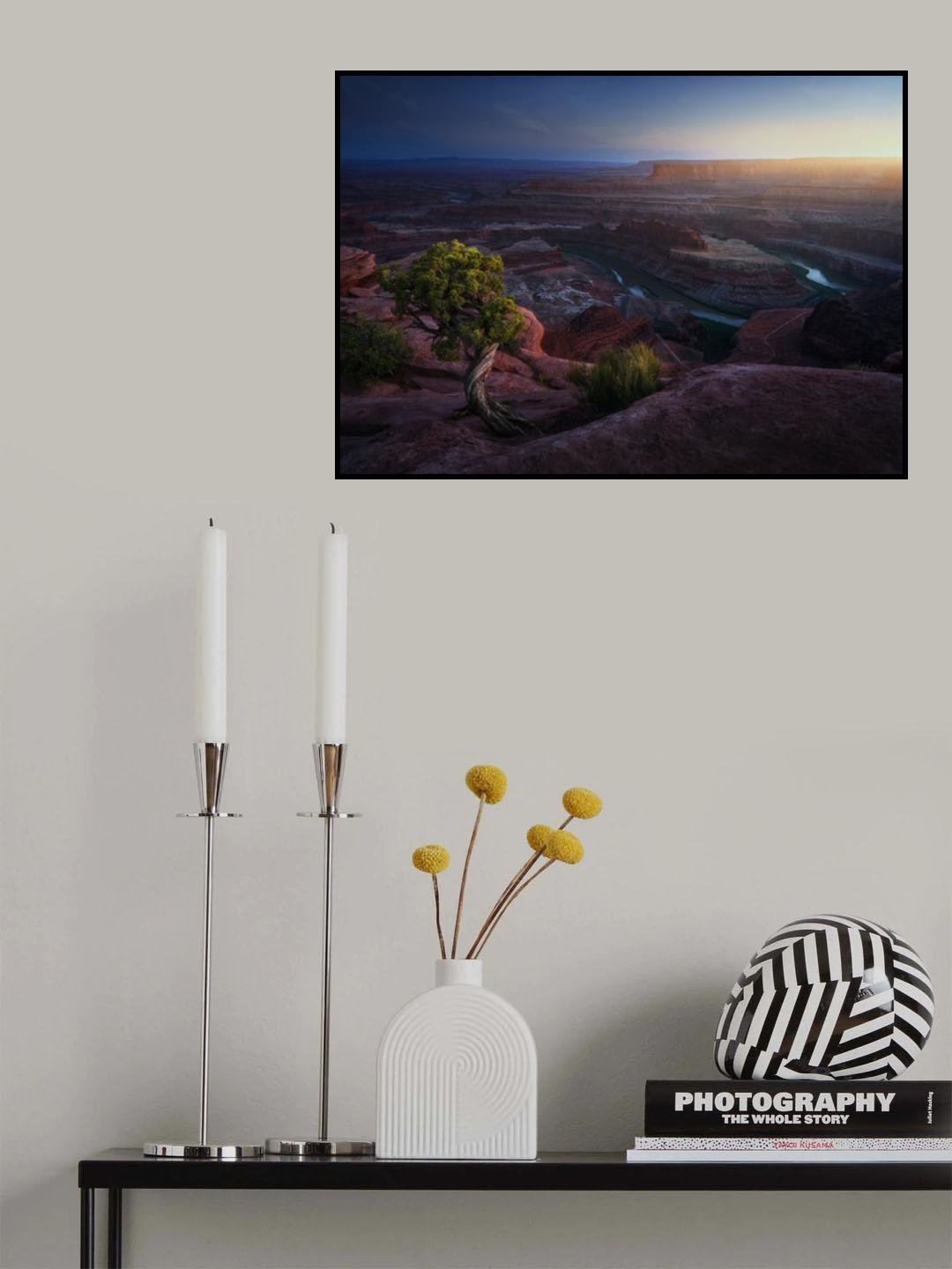 Deadhorse land Poster och Canvastavla