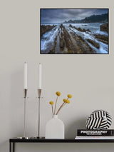 "DRAGON'S BEACH" Poster och Canvastavla