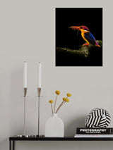 Life and Death Poster och Canvastavla