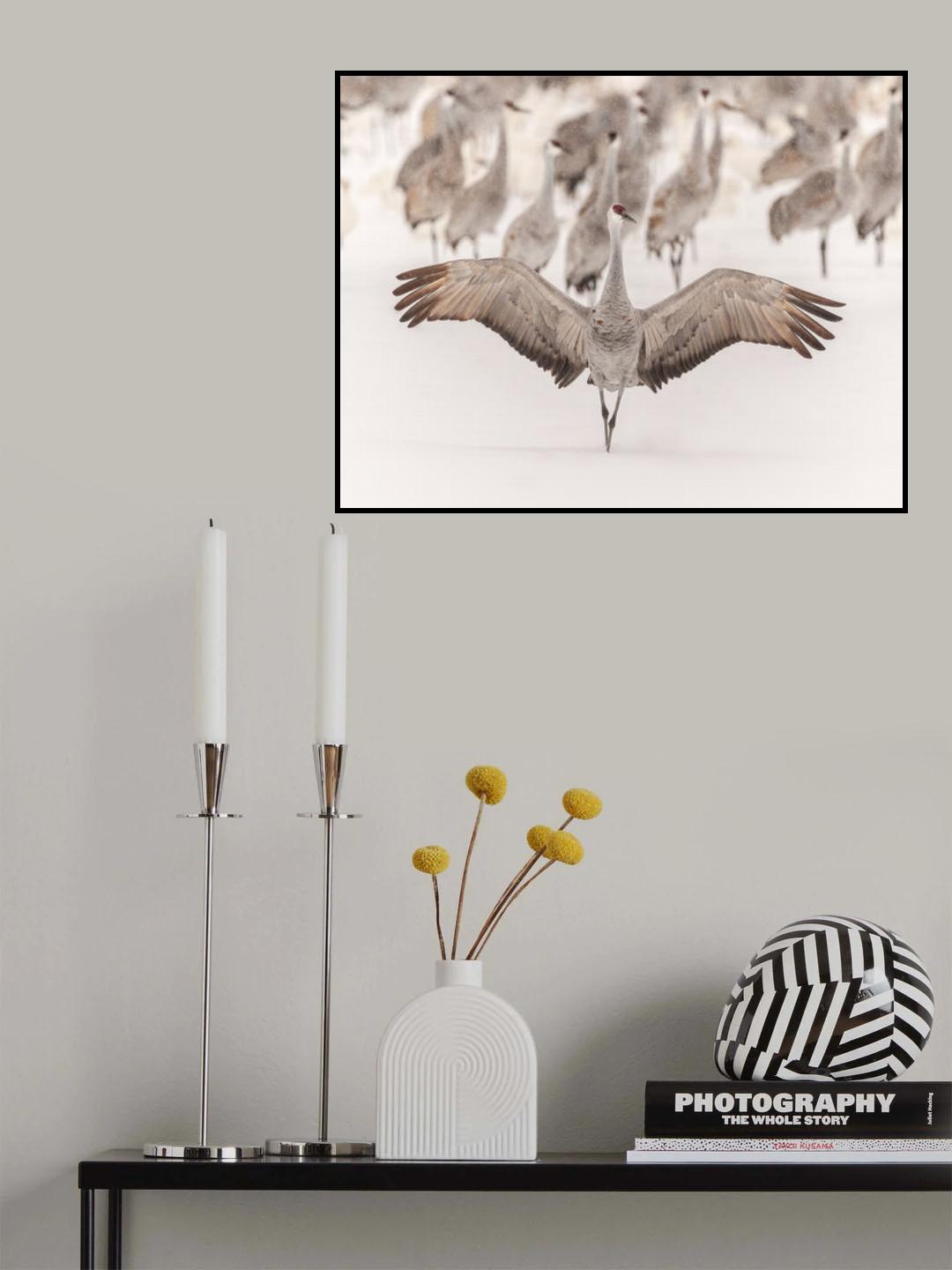 King Poster och Canvastavla