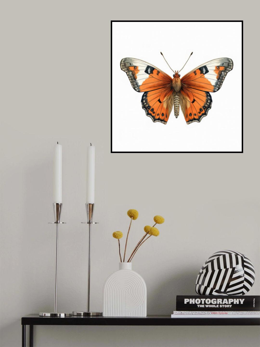 Butterfly 35 Poster och Canvastavla