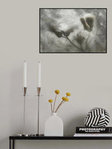 thistle blast Poster och Canvastavla