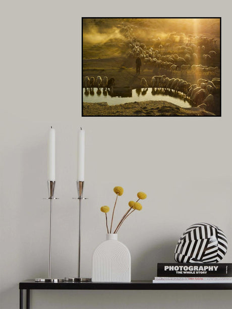 shepherd Poster och Canvastavla