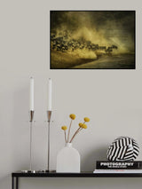 T H E R A C E Poster och Canvastavla