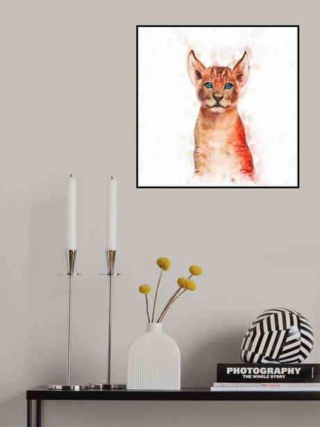 Baby Lion Poster och Canvastavla