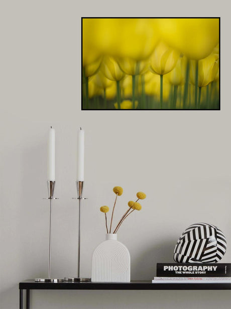 Yellow one color Poster och Canvastavla