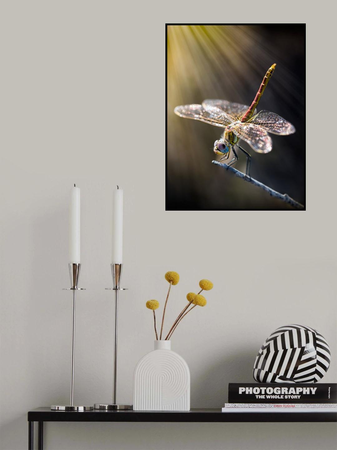 dragonfly 3 Poster och Canvastavla