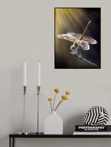 dragonfly 3 Poster och Canvastavla
