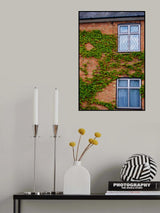 Creepers and Windows Poster och Canvastavla