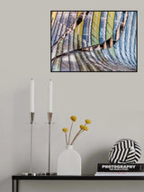 Curved lines and color Poster och Canvastavla