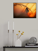Good night Poster och Canvastavla