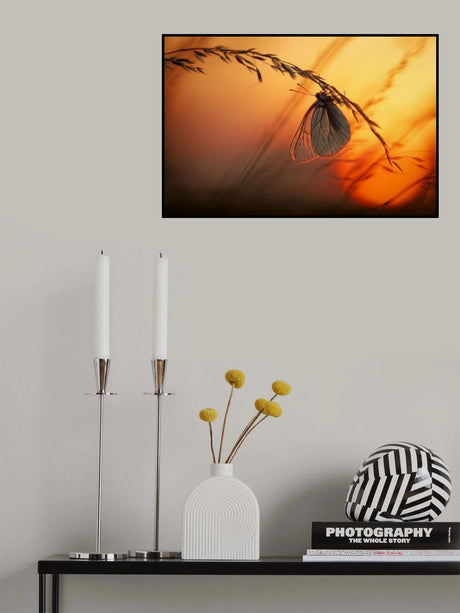 Good night Poster och Canvastavla