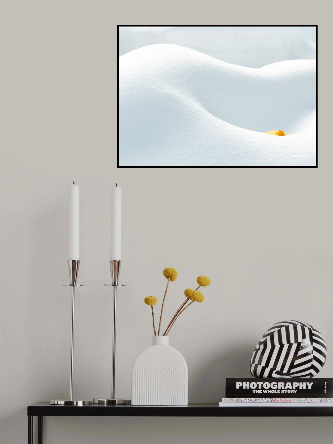 Why (h)-not Poster och Canvastavla