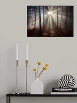 Magic forest Poster och Canvastavla