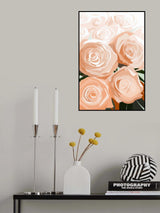 Coral roses Poster och Canvastavla