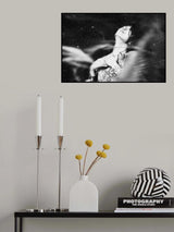 Life goes on Poster och Canvastavla