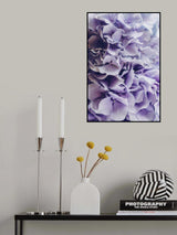 Lilac Hydrangea Poster och Canvastavla