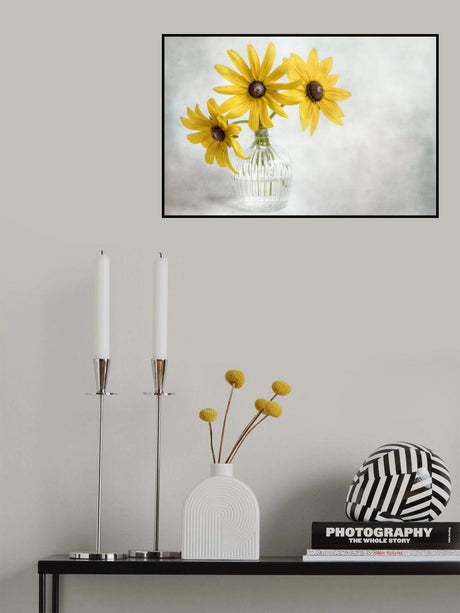 Rudbeckia Poster och Canvastavla