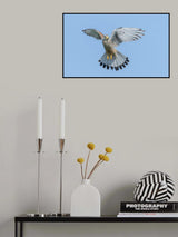 Here I am Poster och Canvastavla