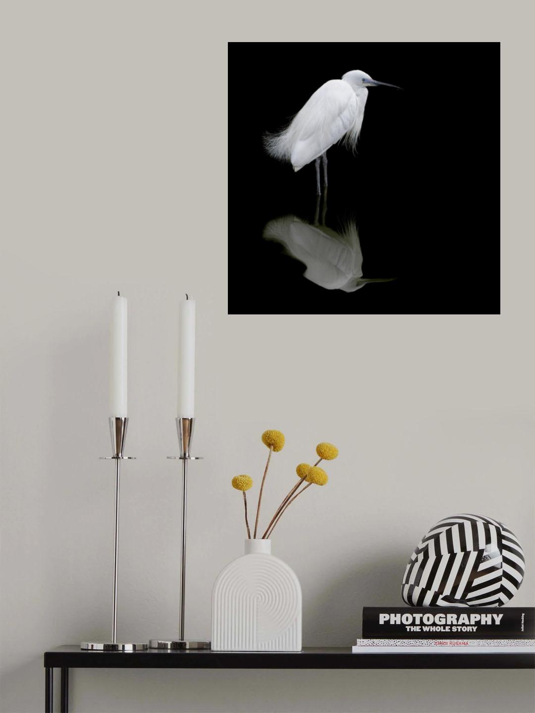 Reflection Poster och Canvastavla