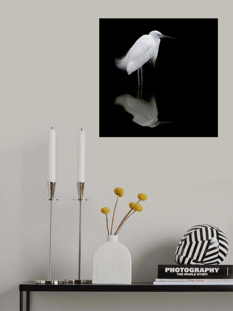 Reflection Poster och Canvastavla