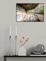 Swimming Pool in Chernobyl Poster och Canvastavla