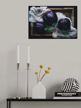 Eggplants Poster och Canvastavla