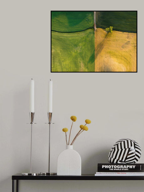 A tree in farm field Poster och Canvastavla