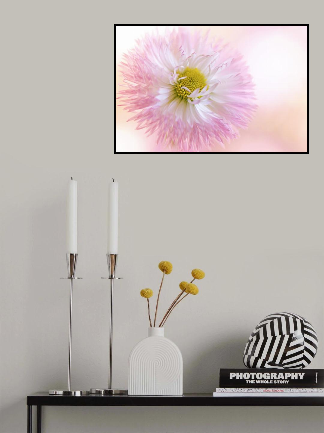 Dancing Daisy Poster och Canvastavla