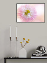 Dancing Daisy Poster och Canvastavla