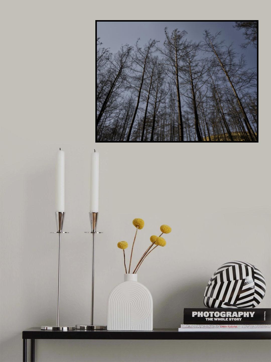 image of a forest after a fire Poster och Canvastavla