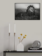 A legend of Masai Mara Poster och Canvastavla