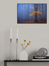 Foggy Forest Poster och Canvastavla